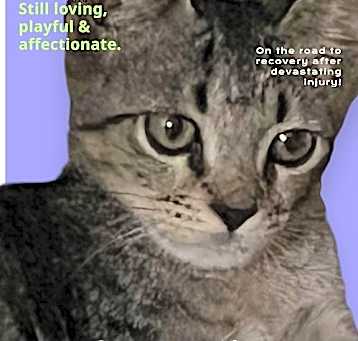 Photo of Axle