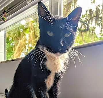 Photo of JoJo