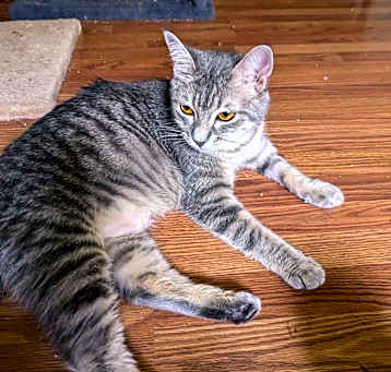 Photo of Sophia