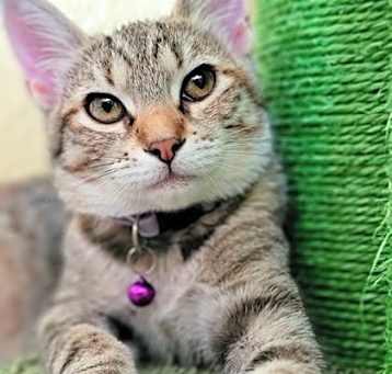 Photo of Dottie RP