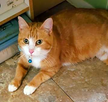 Photo of Abigail