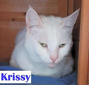 Photo of Krissy