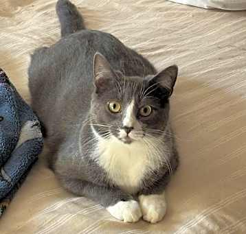 Photo of Lucy, Willow Grove Area (FCID 07/02/2024-148) C