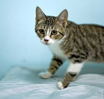 Photo of Clotho