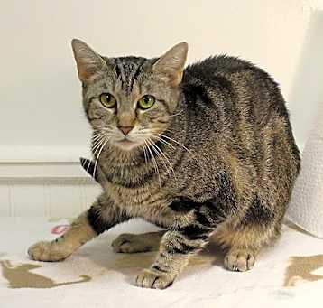 Photo of Talulah