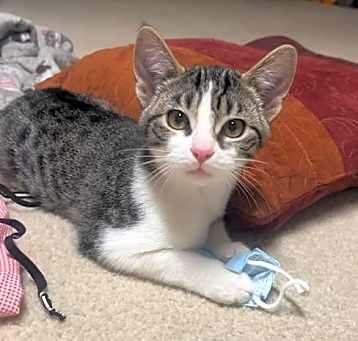 Photo of Alaina