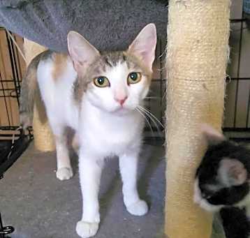 Photo of AURORA