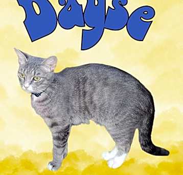 Photo of Dayse