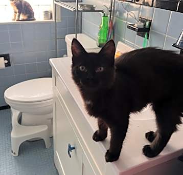 Photo of Delilah