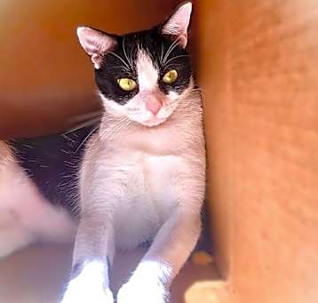 Photo of Mama Daisy
