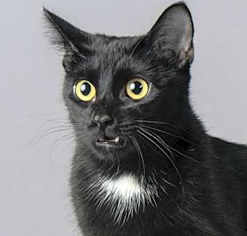 Photo of Giselle