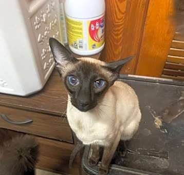 Photo of Kat