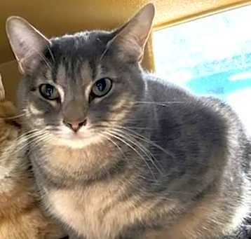 Photo of Flipper
