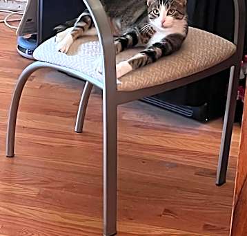 Photo of Chloe