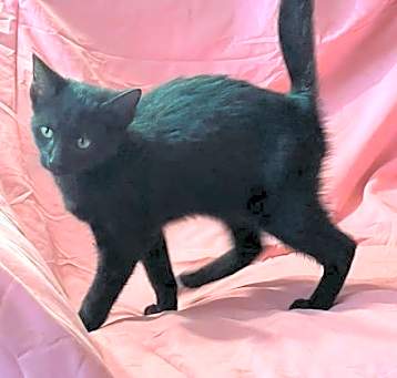 Photo of Aldie
