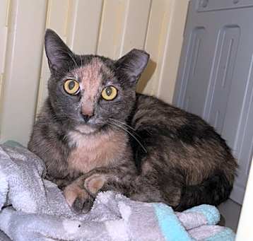 Photo of Matilda