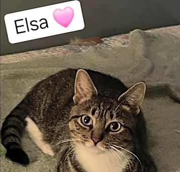 Photo of Elsa