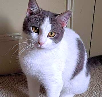 Photo of Princess