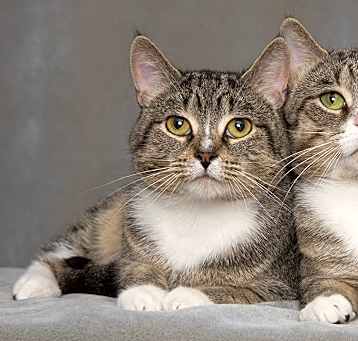 Photo of Phat and Slim