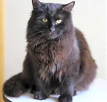 Photo of Maggie