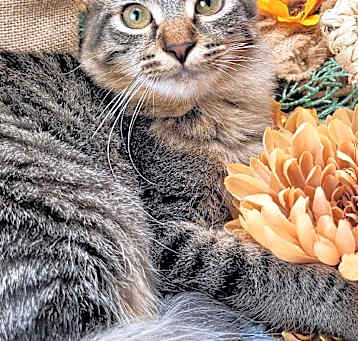 Photo of Hunter