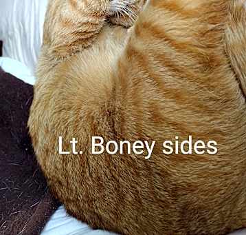 Photo of Lt. Boney Sides