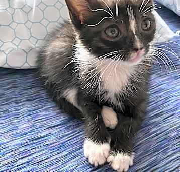 Photo of Kiki