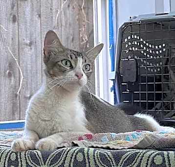 Photo of Josie