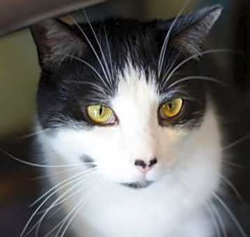 Photo of Shine