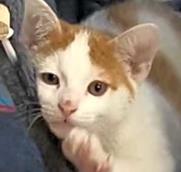 Photo of JuneBug