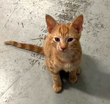 Photo of Ziggy part of Dynamic Duo