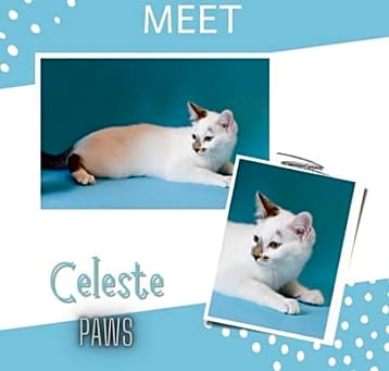 Photo of Celeste
