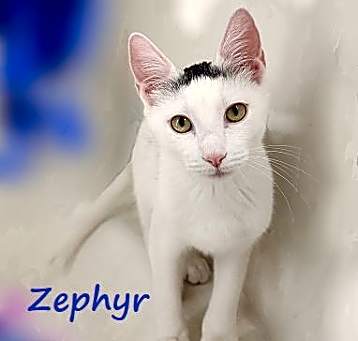 Photo of Zephyr #graffiti-boy