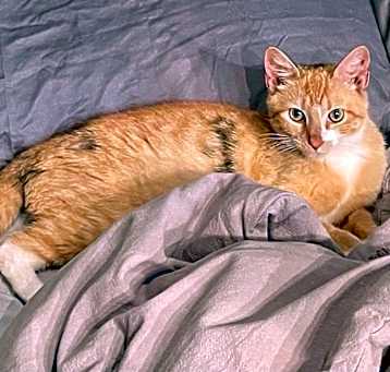 Photo of Markie