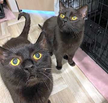 Photo of Oscar and Sebastian