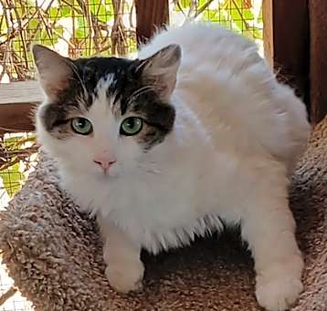 Photo of Mavis