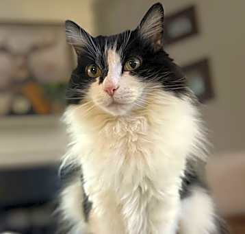 Photo of Patsy