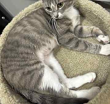 Photo of Penelope