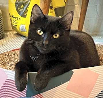 Photo of Hacker