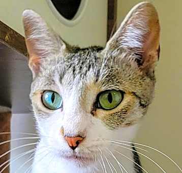 Photo of Paloma