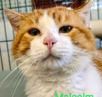 Photo of Malcolm