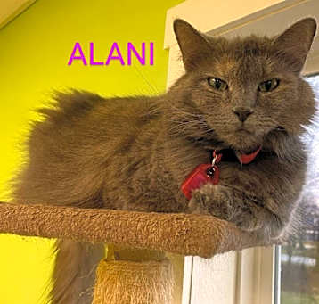 Photo of Alani