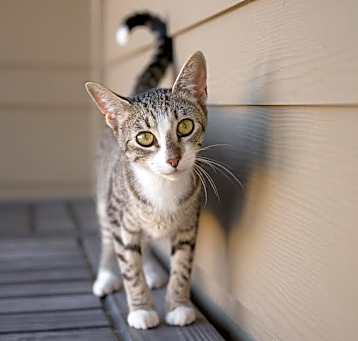 Photo of Della