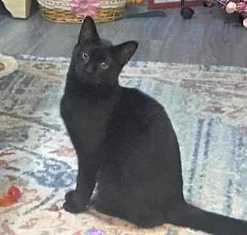 Photo of Bob