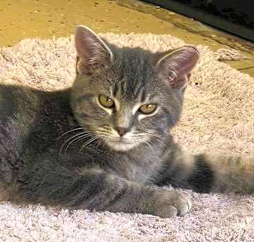 Photo of Finley