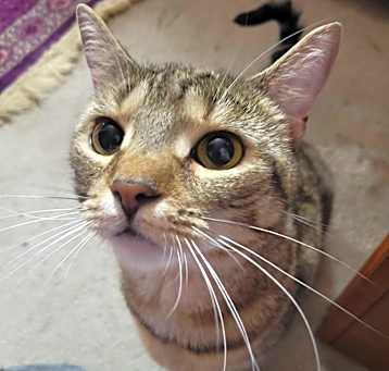 Photo of Gabby