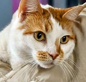 Photo of Charlie