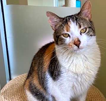 Photo of Ida