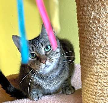 Photo of Polly