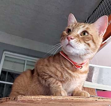 Photo of Marv